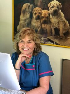 monica gonzalez plaza directora jardin humpty dumpty